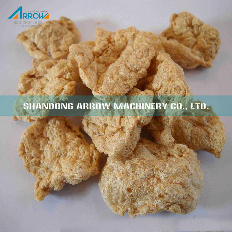 Textured Vegetable Protein Extruder Manufacturer