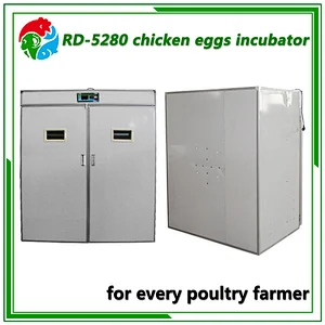 5280 Egg Incubator