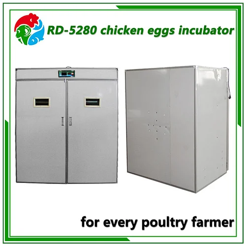 5280 Egg Incubator
