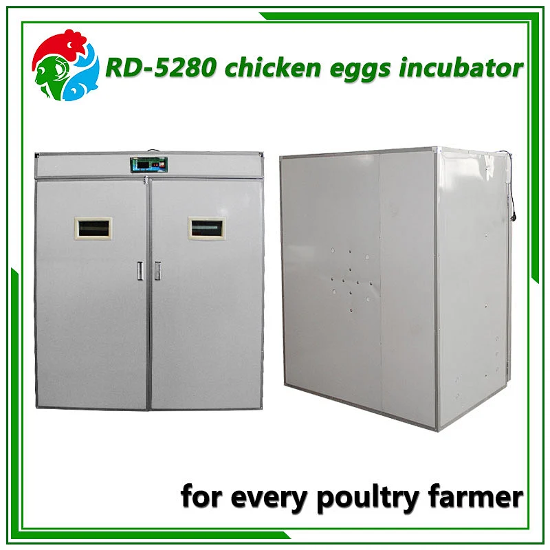 5280 Egg Incubator