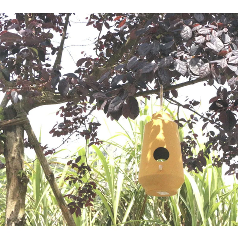 Landscape Bird House
