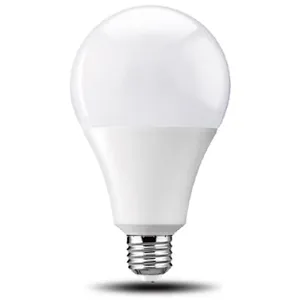 NON-Directional Lamp