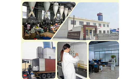 Hebei Guangsheng Technology Co.,Ltd