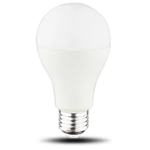 NON-Directional Lamp