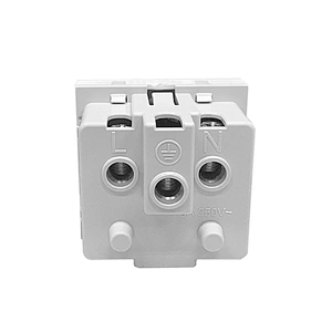 Sinoamigo F9G/British Standard Socket, Double Pole