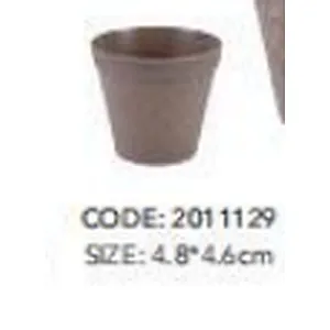 Fleshy Plant Pot