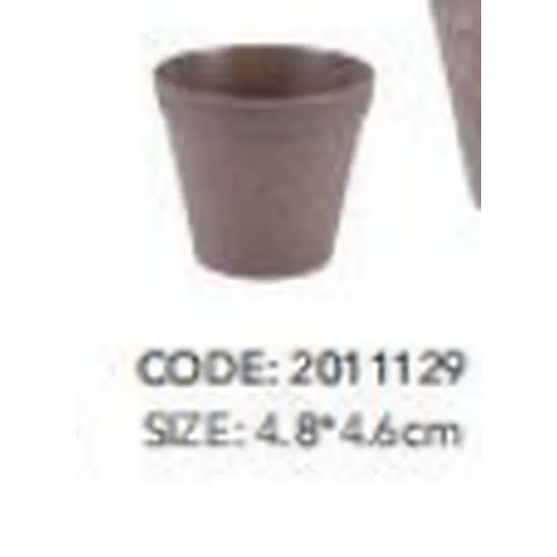 Fleshy Plant Pot