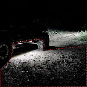 SIDE STEP WITH CUSTOMIZED LIGHT BAR