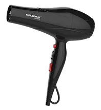 Hair dryer  8860