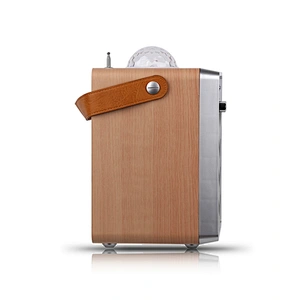 Disco Wooden Bluetooth Speaker