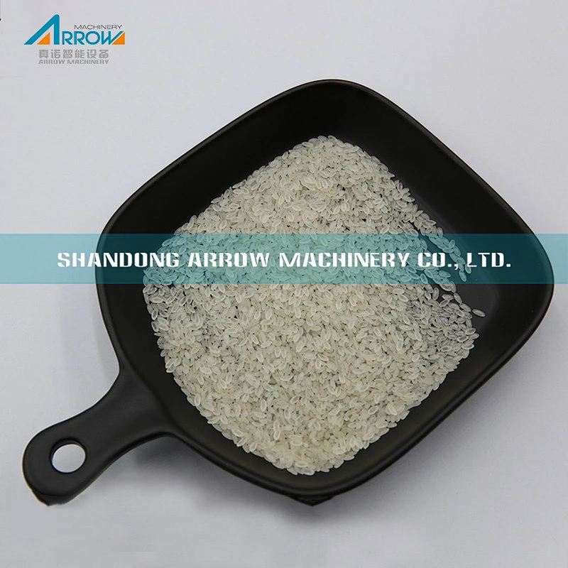 Brewing Type Instant Rice Processing Line