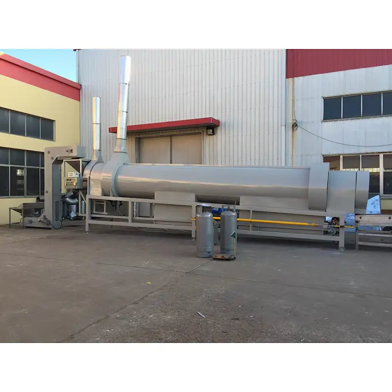 Continuous seamseeds roaster