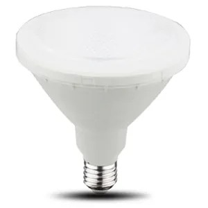 Directional Lamp