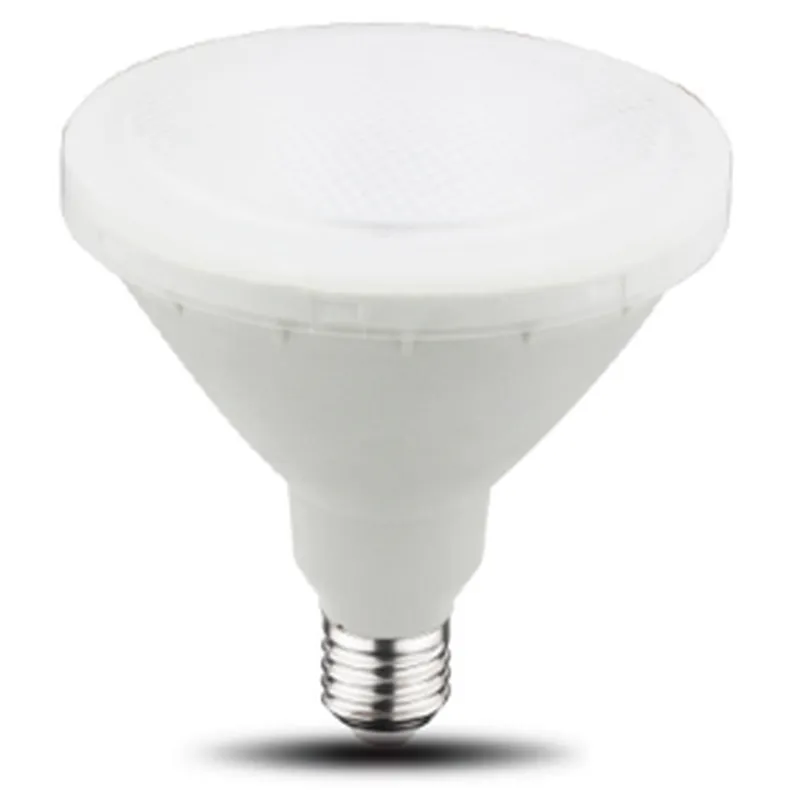 Directional Lamp