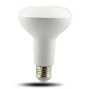 Directional Lamp