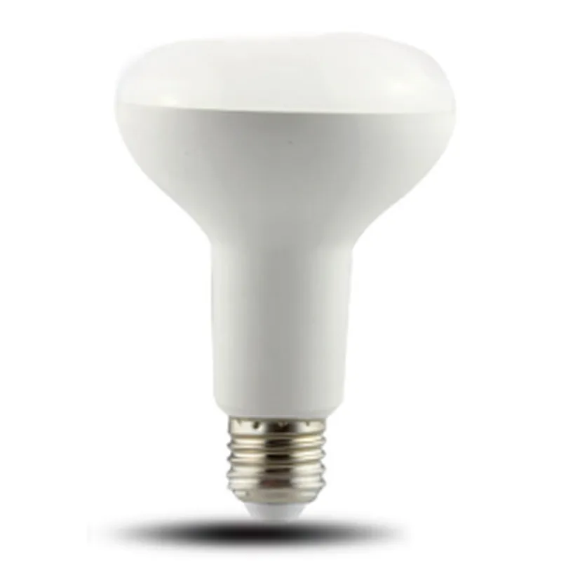 Directional Lamp