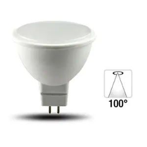 Directional Lamp