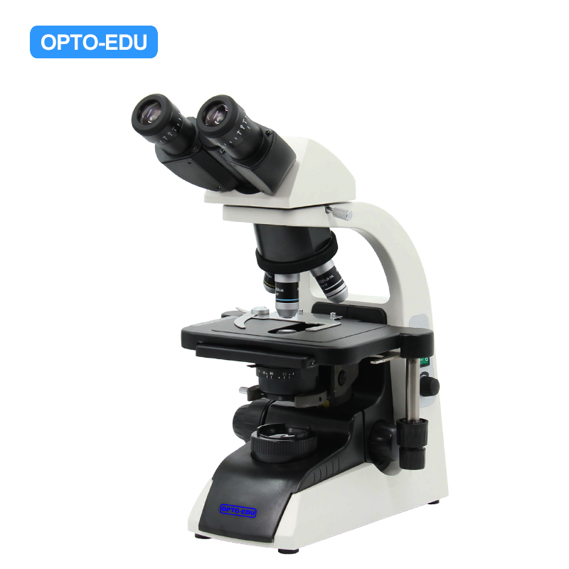 Mikroskop Laboratorium, Teropong, Rencana Infinity