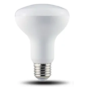 Directional Lamp