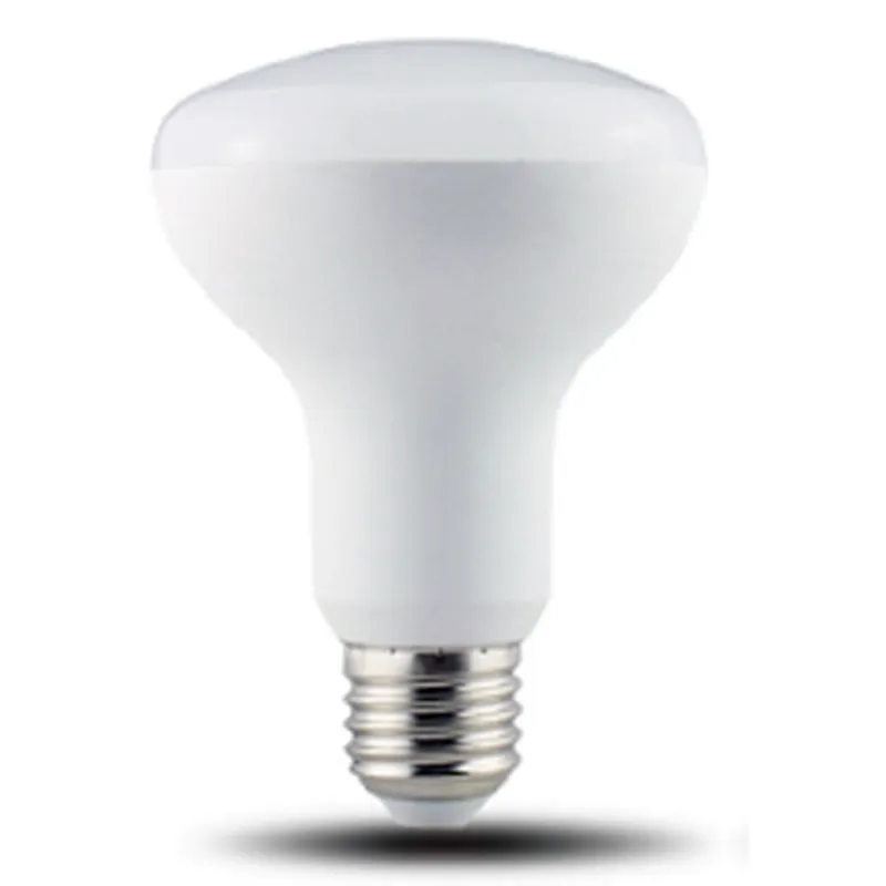 Directional Lamp