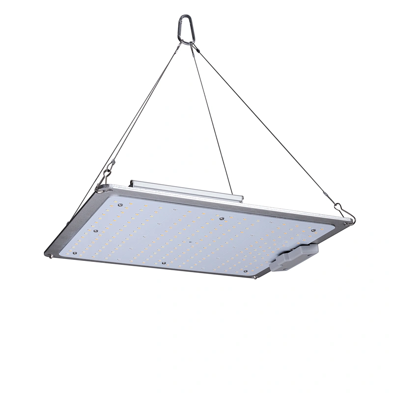 Quantum Board Grow Light