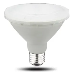 Directional Lamp