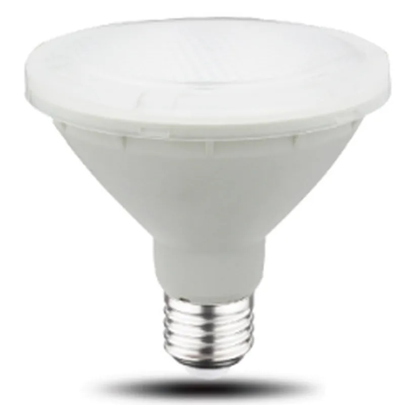 Directional Lamp