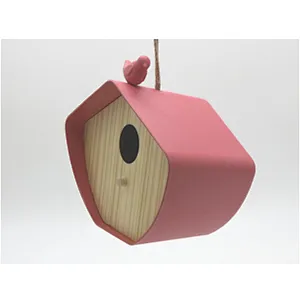 Building Bird House- L