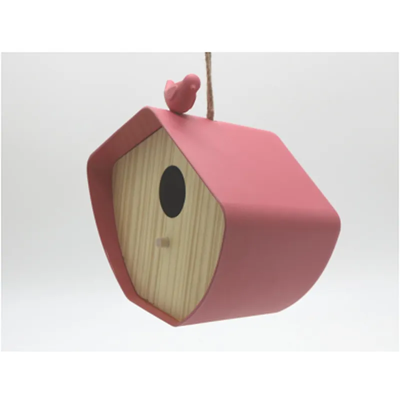 Building Bird House- L