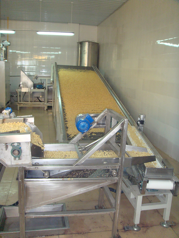 Frying peanut production line