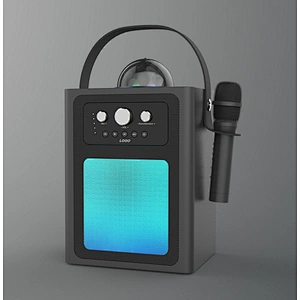 Disco Wooden Bluetooth Speaker