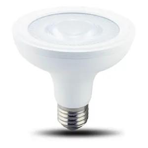 Directional Lamp