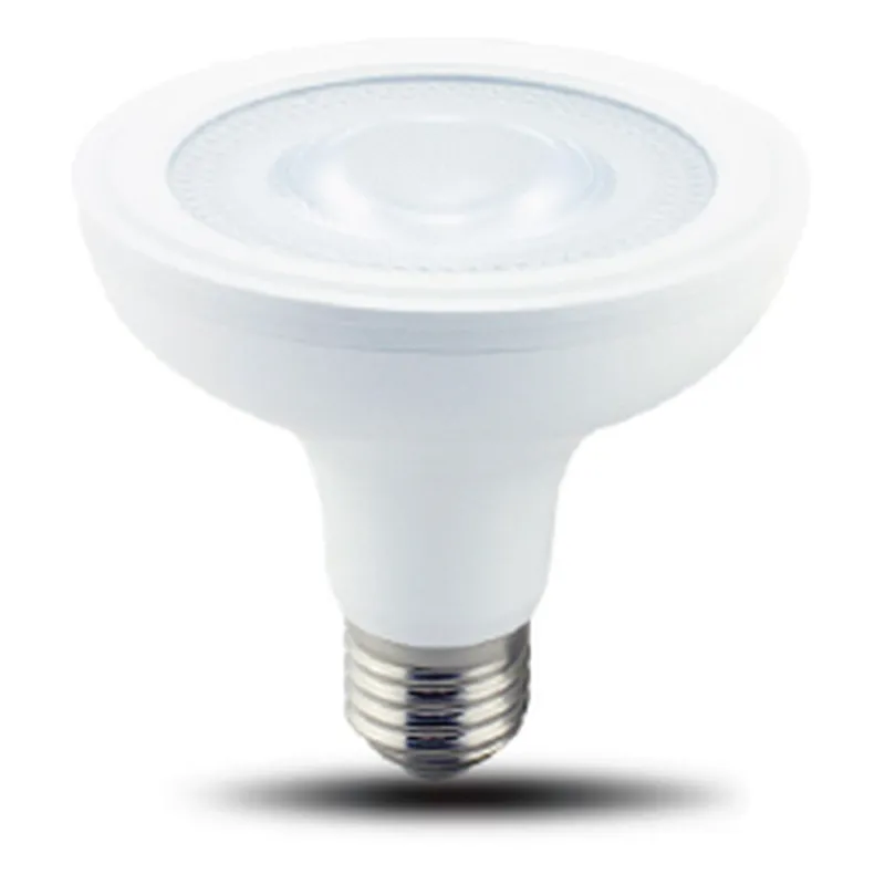 Directional Lamp