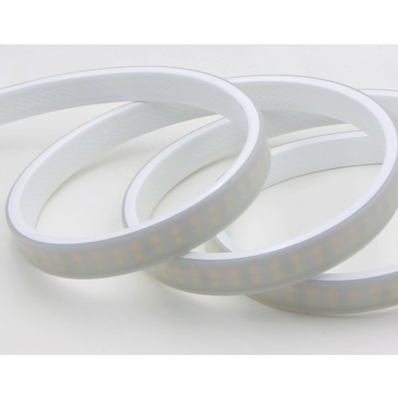 AC230V LED Strip Light Double Color Near Sinks CCT Diffuse Eye-friendly Two Line Anti-Dazzling Lighting