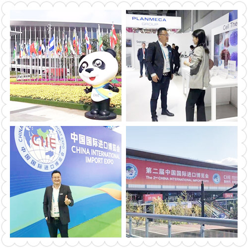 China International Import Expo