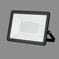 LED FLOOD LIGHT