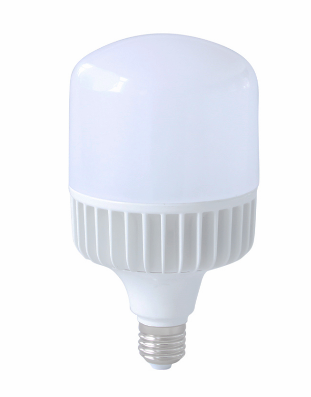 t3s-bulb housing