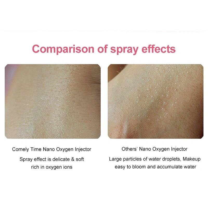 TED-219 Facial Mist Sprayer