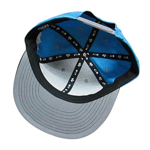 front special 3D embroidery flat size snapback hat