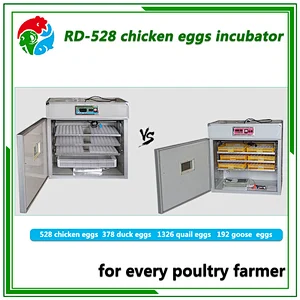 528 chicken egg incubator