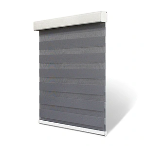 Zebra blinds