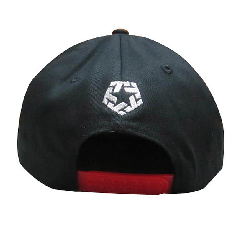 custom snapback with 3D and regular embroidery logo