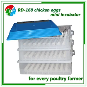 Mini Egg Incubator