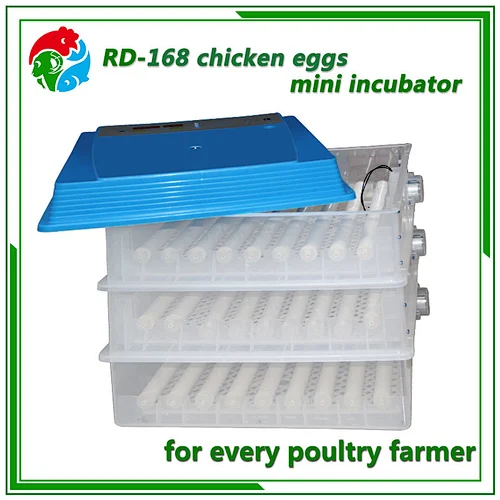 Mini Egg Incubator