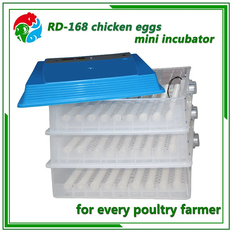Mini Egg Incubator