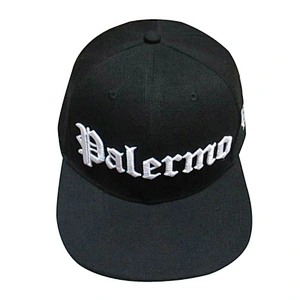 Custom design logo 3D embroidery snapback caps