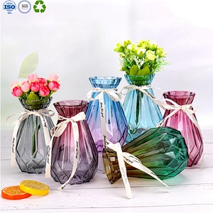 Glass vase for home decoration