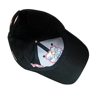 winter baseball hat