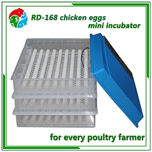 Mini Egg Incubator