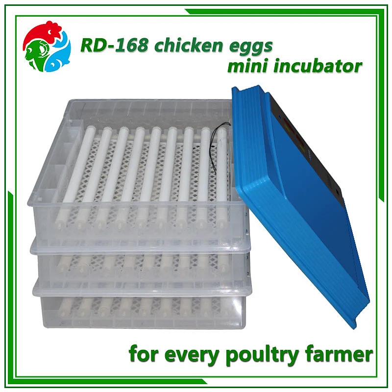 Mini Egg Incubator